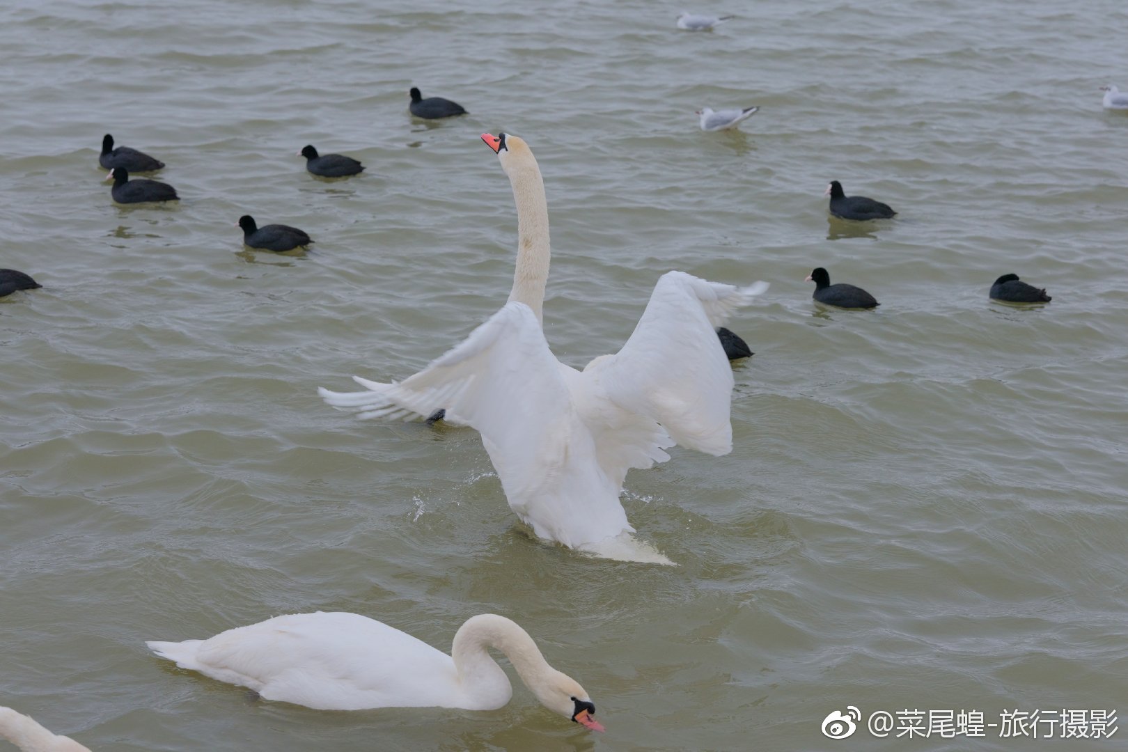 贝尔格莱德旅游免签,东欧冬天旅游攻略