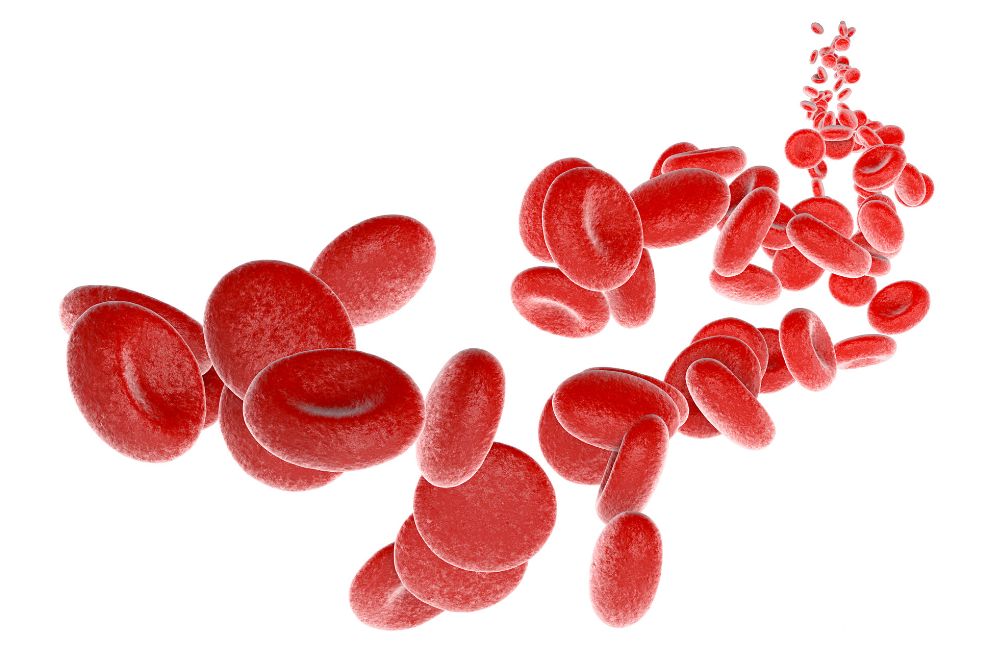 孕妇营养补充剂怎么补充比较好,孕期营养补充剂有哪些