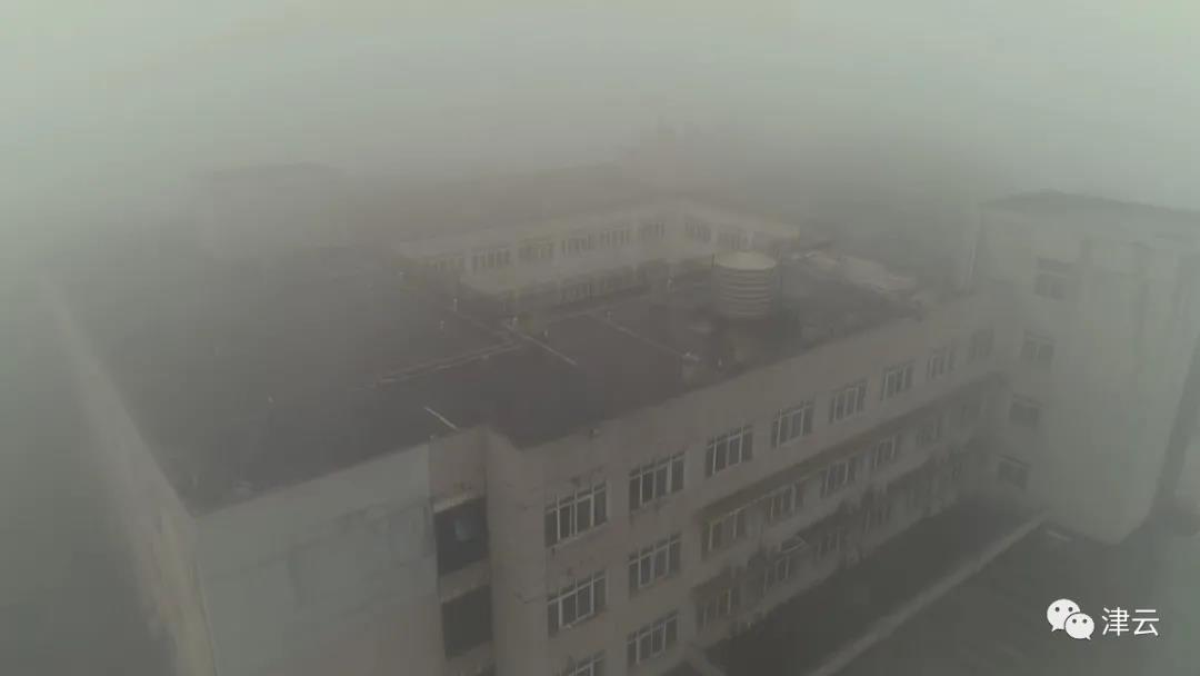 津云疫情调查,津云查疫情