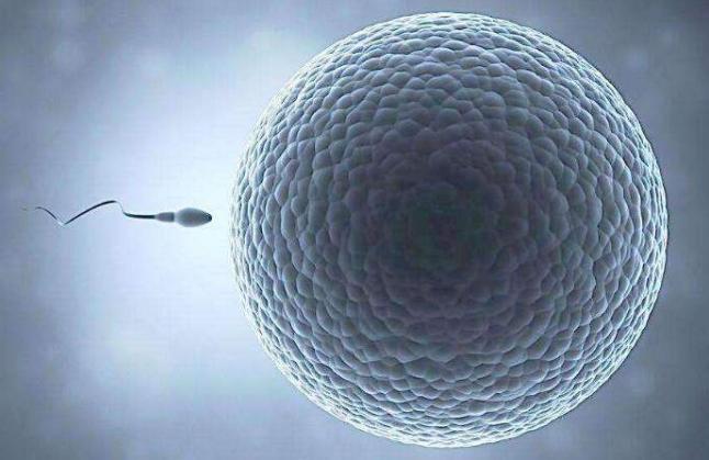 精子的控诉：我是怎么倒在路上的！备孕未果的夫妻应该看看