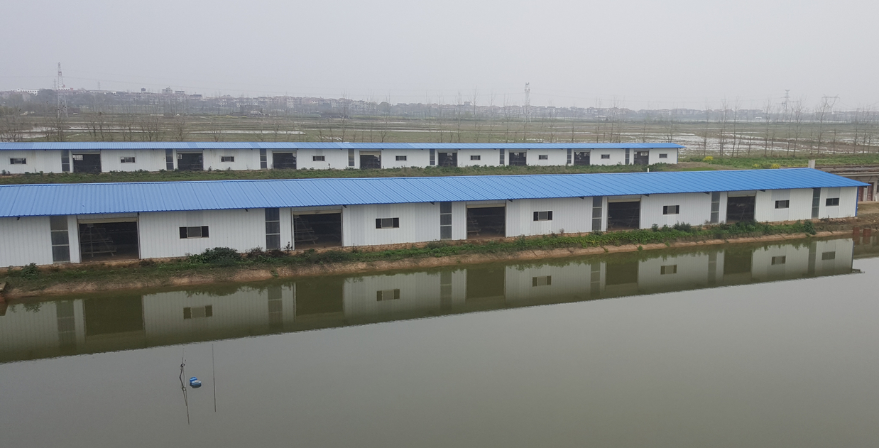 孔雀舞一分钟,一分钟的时间舞蹈