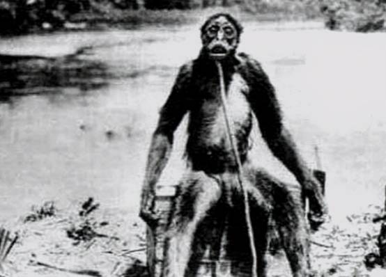 倒脚仙的真实照片,倒脚仙的真实身份