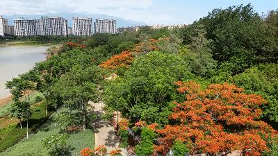 云南18个县城被评为天然氧吧,中国云南天然氧吧城市有哪几个