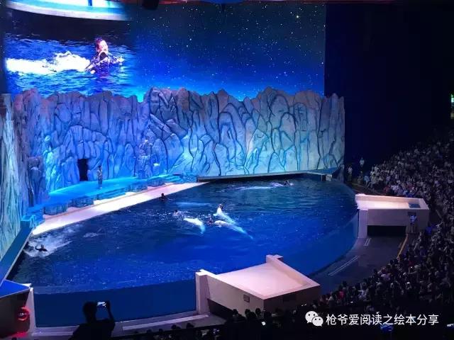 暑假珠海长隆两日一夜亲子游,珠海长隆海洋王国亲子游北极熊