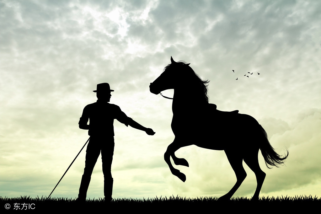 西部电影和牛仔的渊源,经典西部牛仔影片