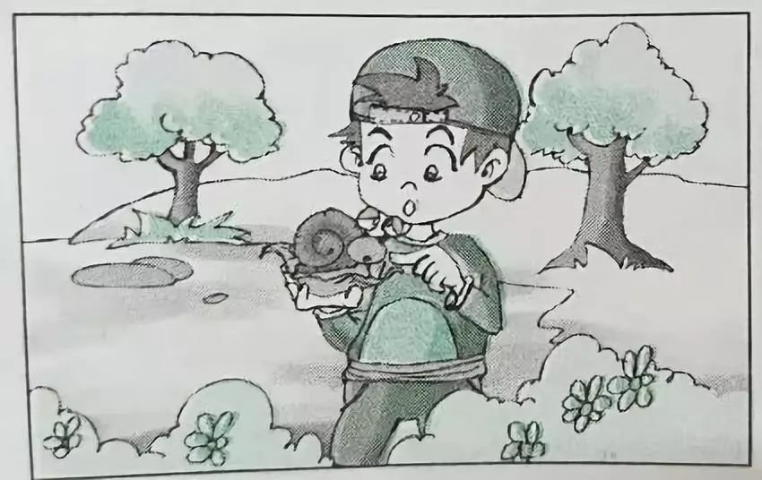 一二年级看图写话写作技巧,看图写作文二年级方法