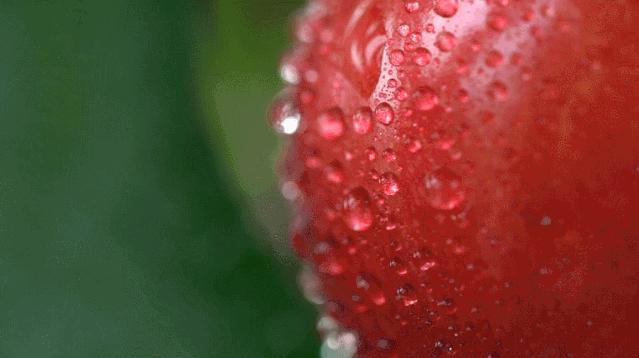 大连特产有哪些最便宜,大连的特产都有哪些