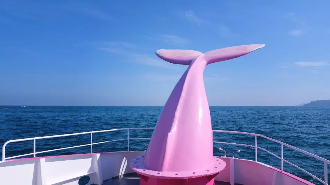 佐贺在日本的地理位置,佐贺市有什么好玩的地方推荐