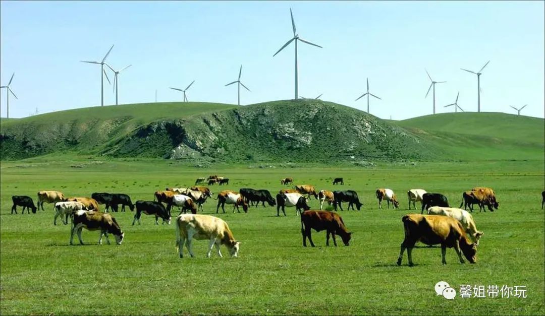 小长假天气晴好正是踏春好时节,小长假天气晴好出游踏青好时机