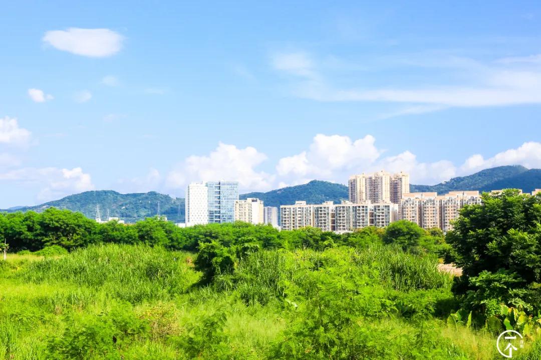 深圳“厂妹”村：租客月入4000，房租500