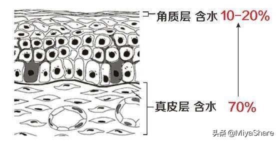 油皮干燥起皮怎么急救,油皮干痒脱皮泛红怎么改善