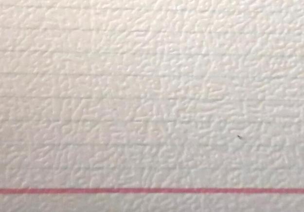 伪装学渣如何查真伪,伪装学渣实体书怎么辨别真假