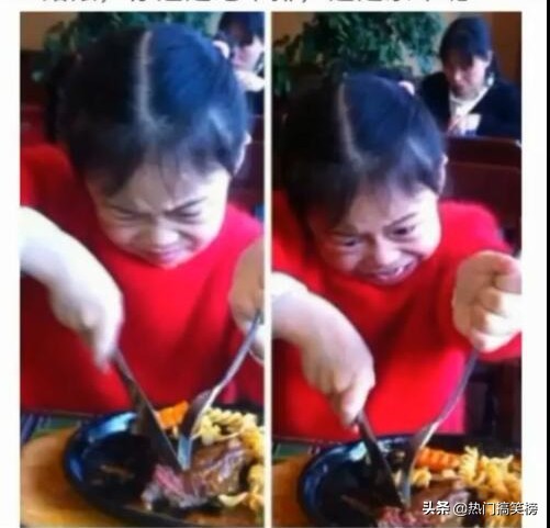 仓鼠和猫打架花了2000,和猫打架住院的仓鼠