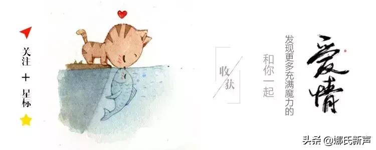 一个男人的内心挣扎：女方怀孕8个月可以离婚吗？