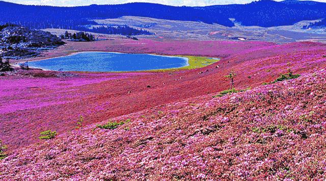 邛崃西来古镇旅游攻略,邛崃旅游攻略三日游