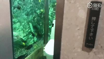 奇葩式厕所设计,最实用的厕所设计