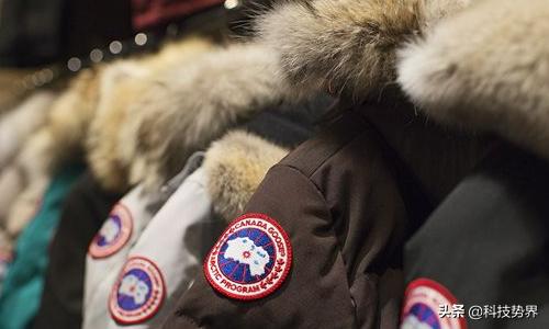 为什么都说考拉自营卖假货,网易考拉假货央视曝光