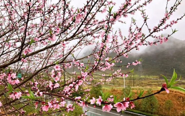 小众民宿住宿推荐,湖北郊游民宿