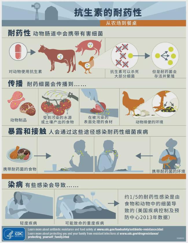 饲料将禁加哪些抗生素,饲料禁抗的抗生素包括哪些