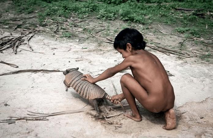 亚马逊雨林看起来是绿色天堂，实则是人类禁区，到底有多恐怖？
