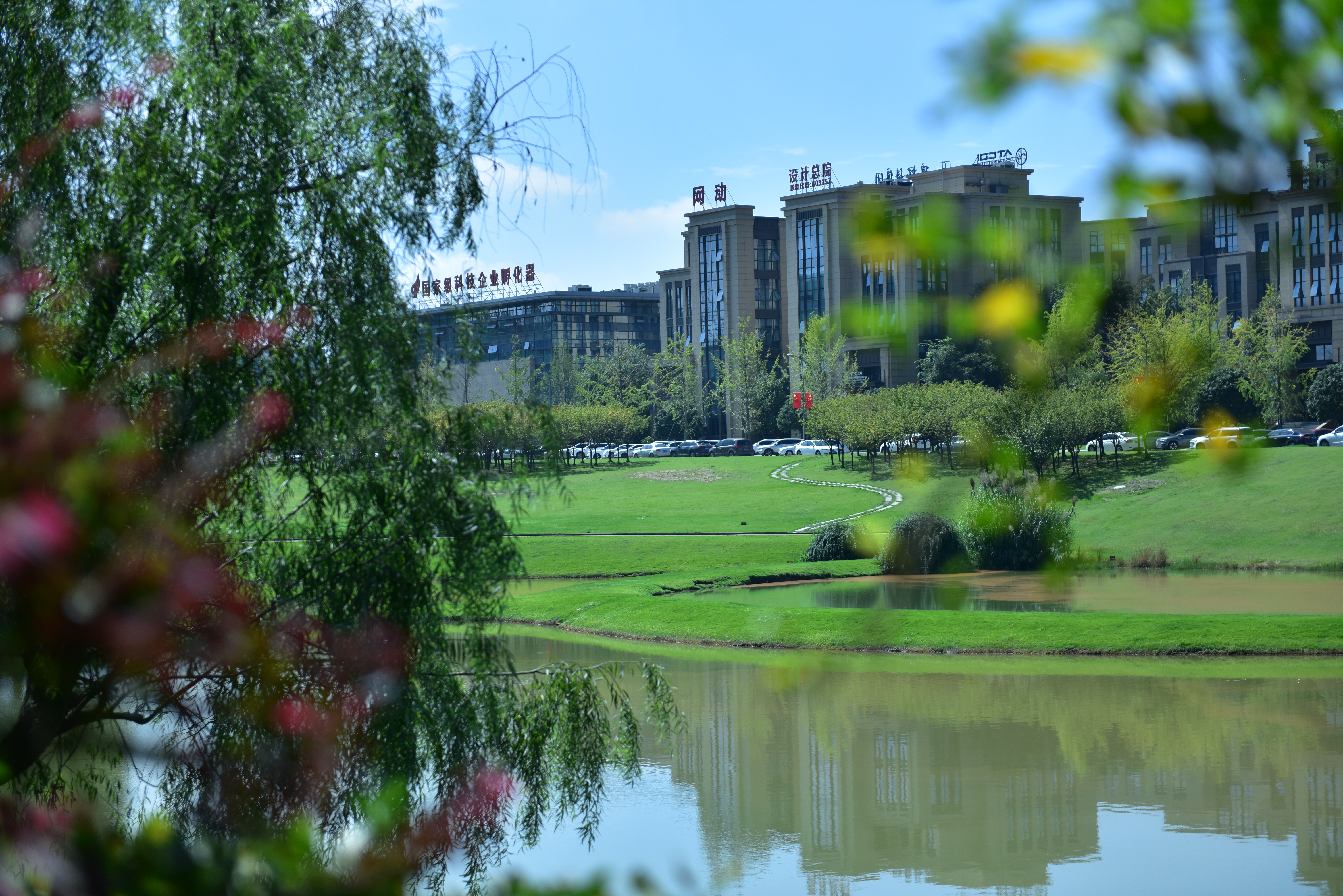 双流区gdp2021,双流百强区排名