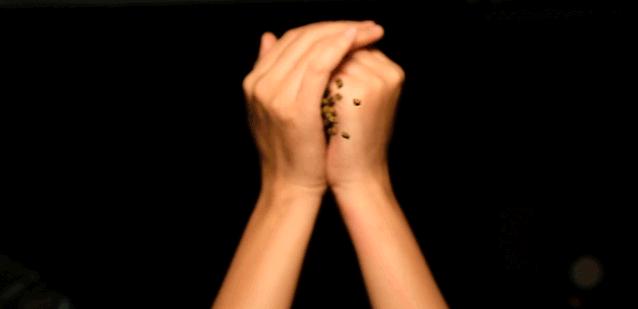 美蛙鱼头自助江南西,江南西美蛙鱼头