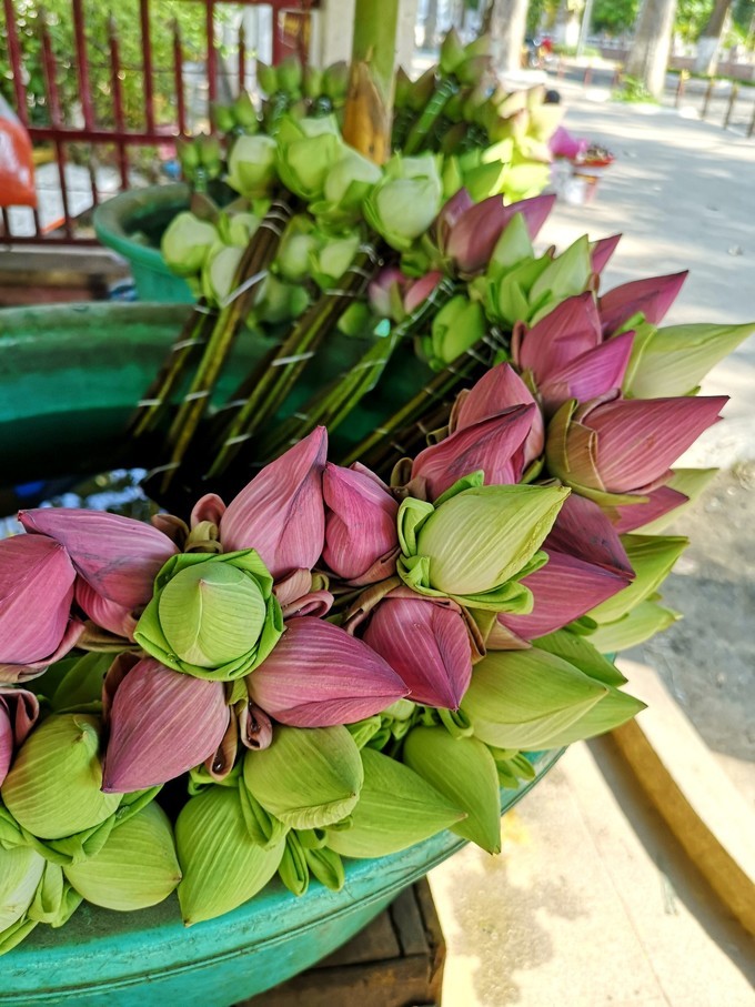 柬埔寨暹粒市旅游攻略,旅游柬埔寨必读完整攻略指南