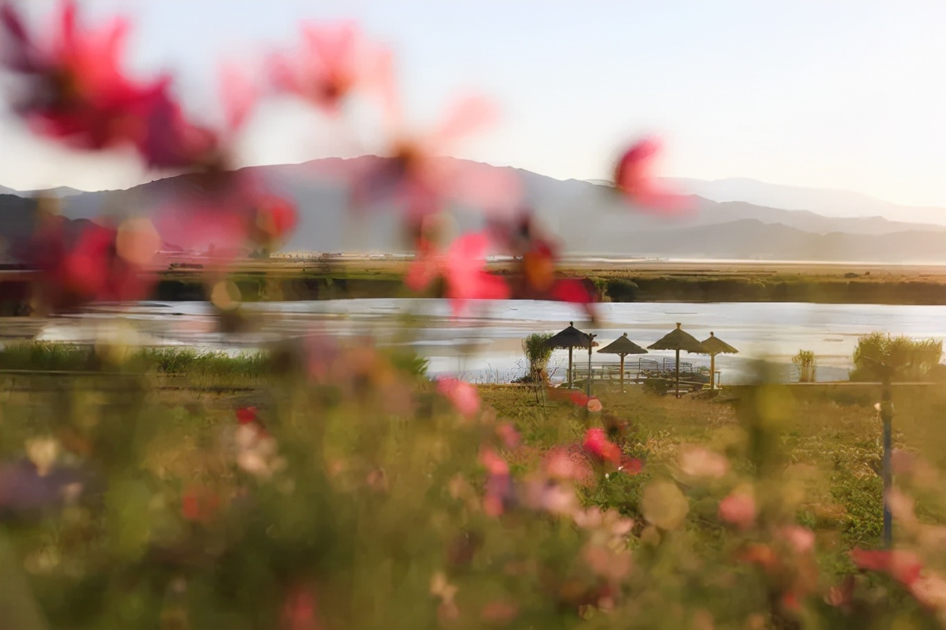 北疆四季,北疆的四季美景