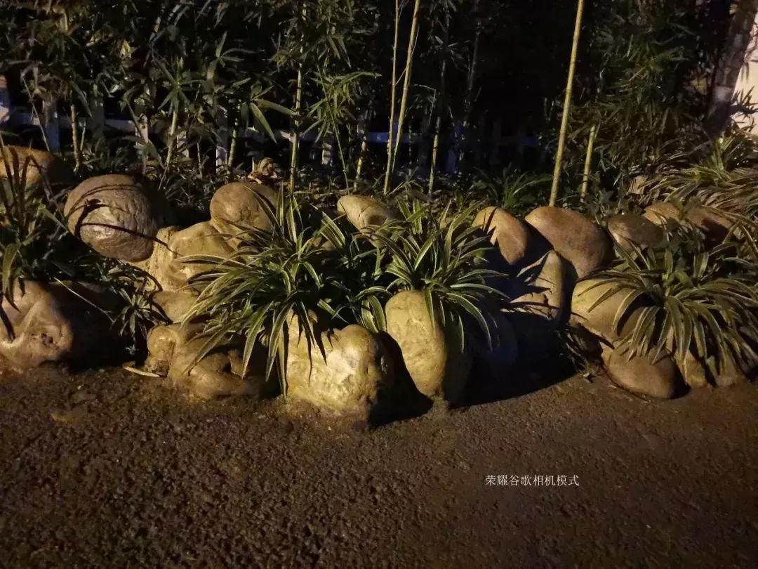 千元机变万元机,千元机拍照堪比苹果