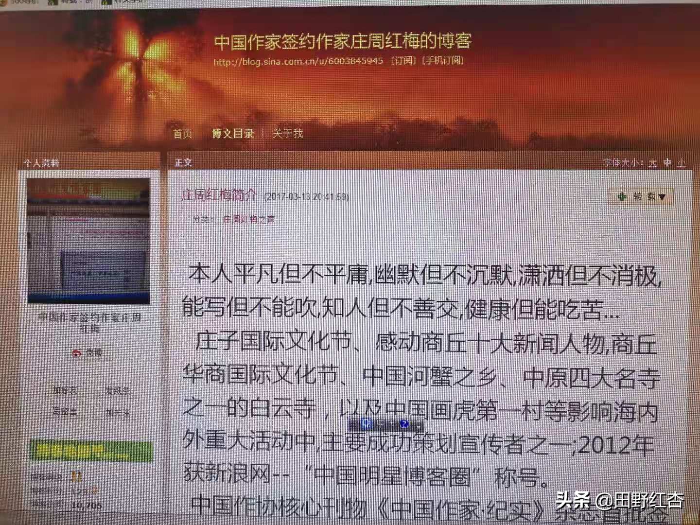 中国新浪明星博客圈入选标准是什么？田野红杏凭借什么入选的