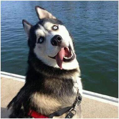 淘宝优惠券群骗局,淘宝优惠券推广怎么赚钱