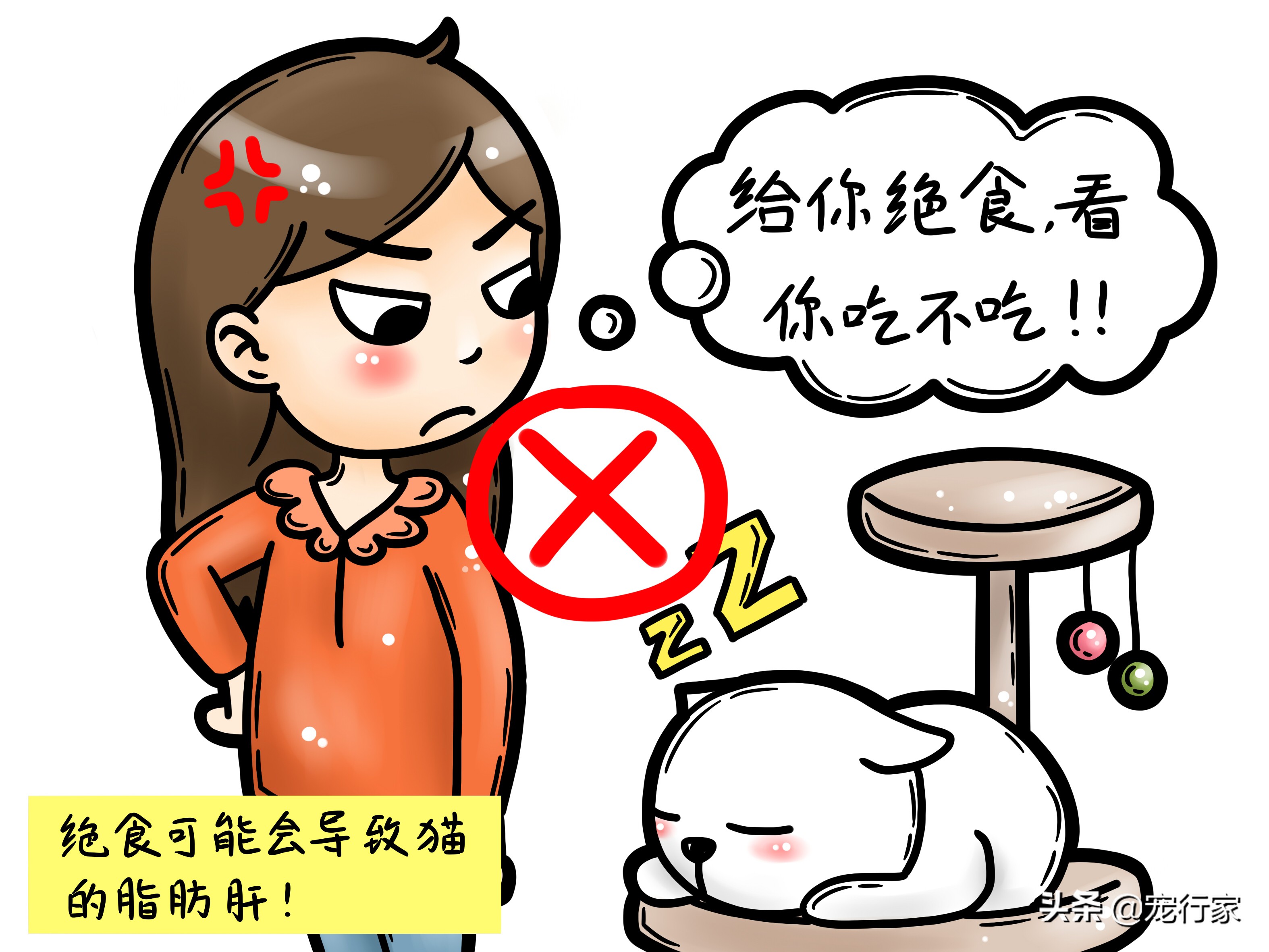 生骨肉猫吃得少,猫粮生骨肉的喂养方法