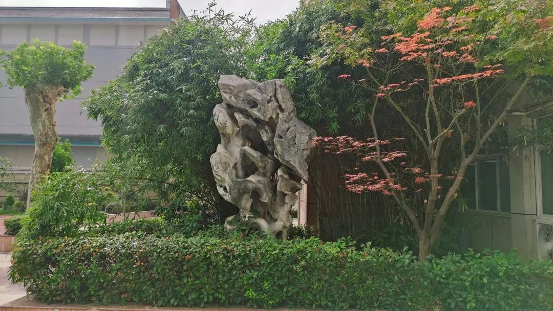 最美的风景美丽的校园,最美的风景就是校园