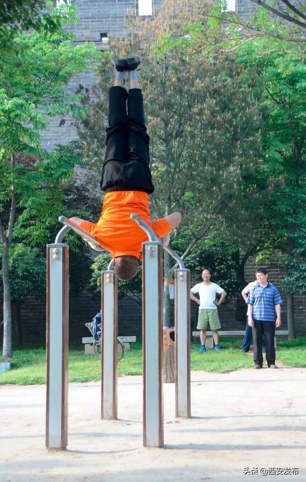 西安发布头条新闻,西安发布的最新消息