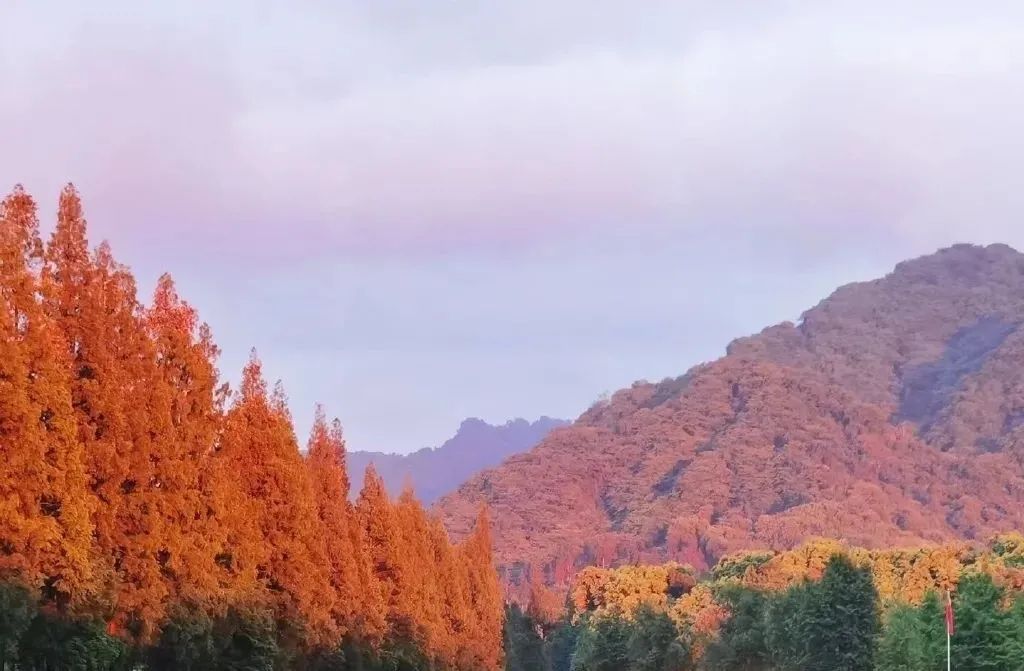 成都东软学院青城山下,东软青城山校区
