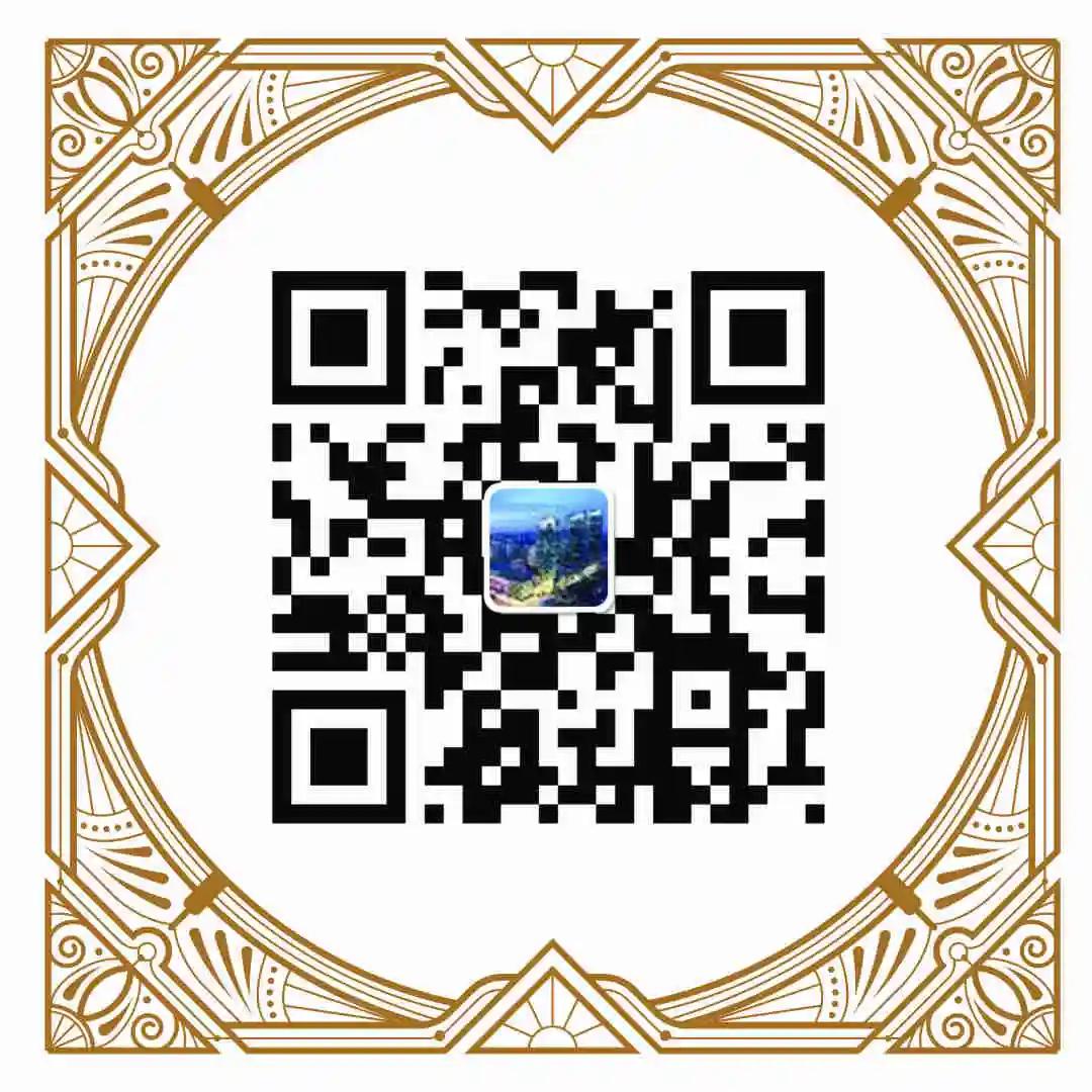 打卡圣地|华贸中心XHoolicar“喵喵满袋大聚会”