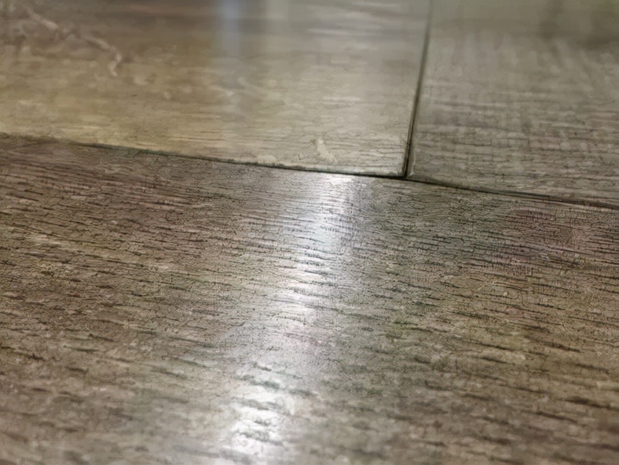 有宠一族必看：啥家庭条件呀，好几万的沙发随便毁？