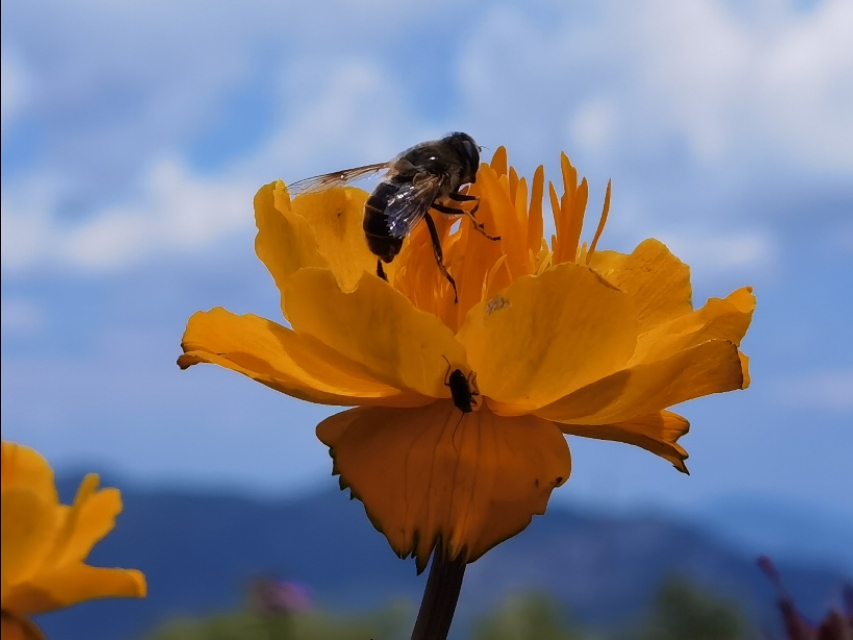 驼梁‖一处来了就会让你爱上的地方