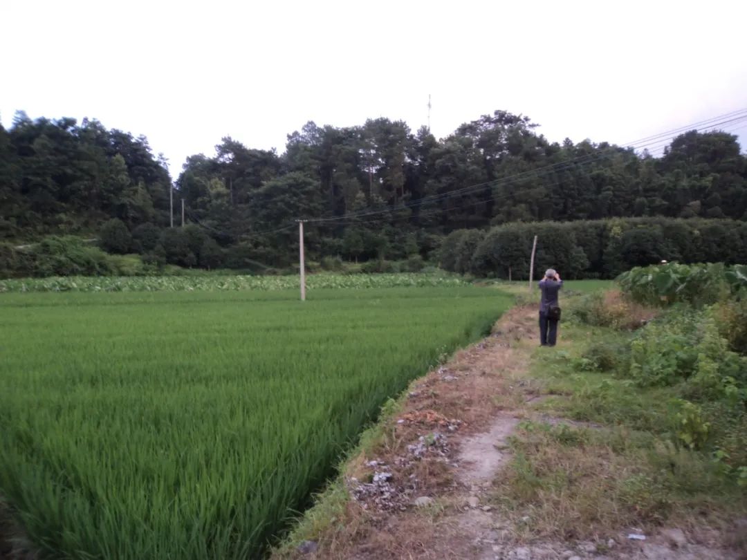 桂北传统村落,桂北古村在哪里