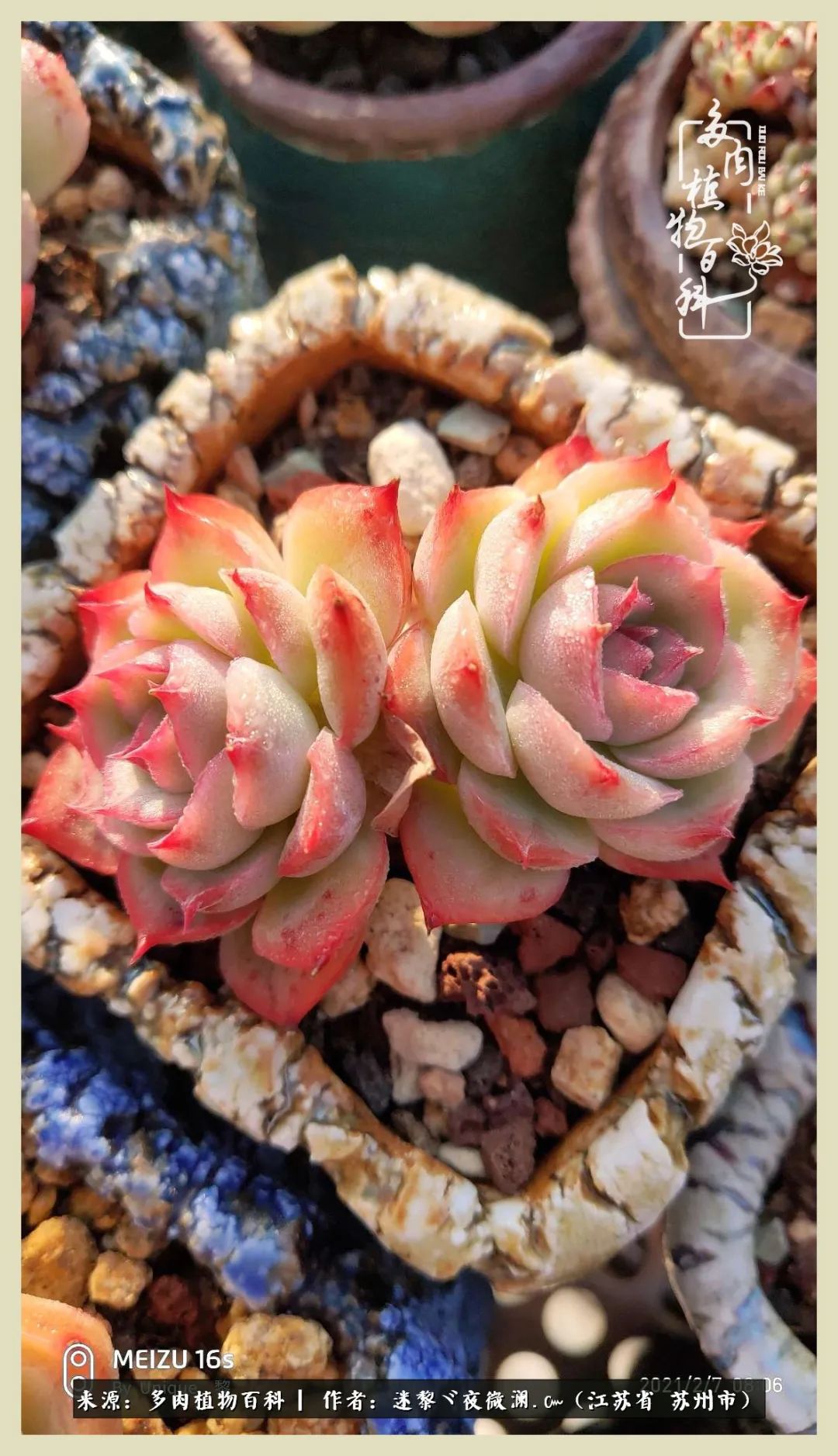 秋尽冬来岁月不居时节如流,岁月不居时节如流水