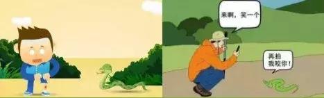 蛇出没高峰期广西,玉林一市民家里藏4条蛇