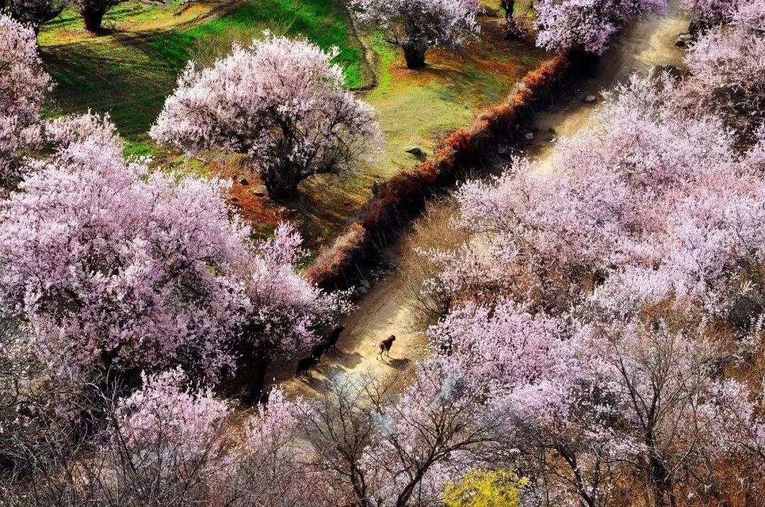 最适合冬天去的旅行城市,最适合春天旅行的城市