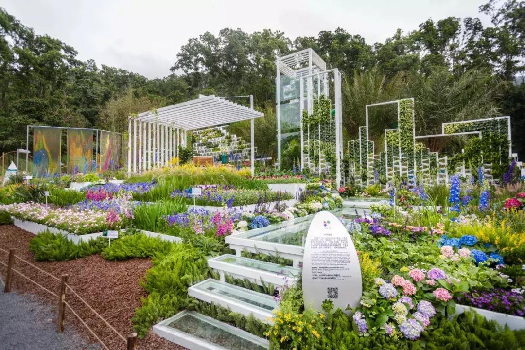 未来10天预警，深圳最最最最火的地方在这里，美女都赶来打卡