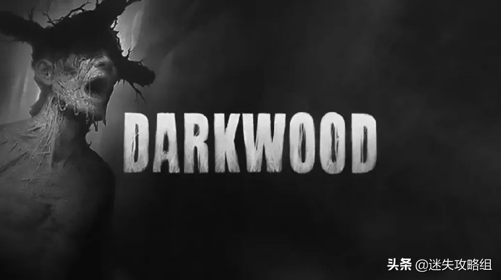 阴暗森林游戏的背景,阴暗森林游戏解析