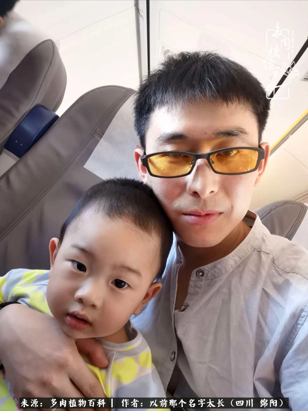 山地玫瑰夏天,夏季的山地玫瑰