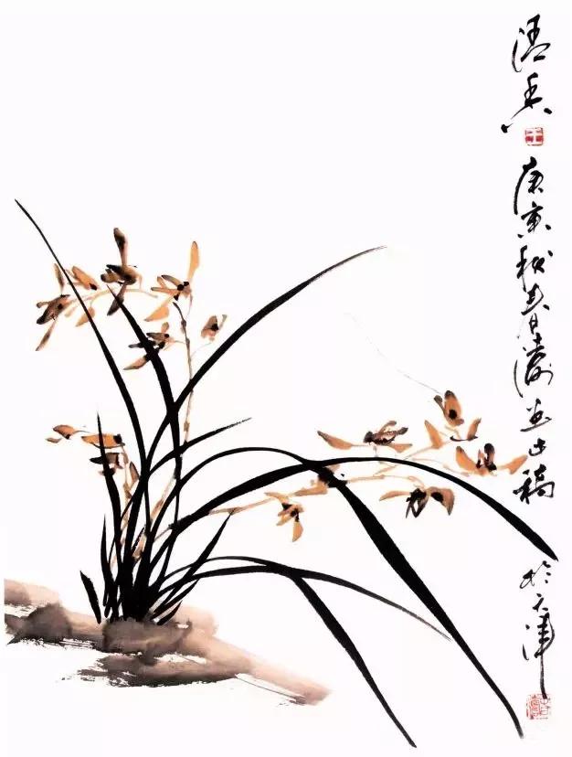 兰花绘画技法教程视频,泰国兰花绘画技法