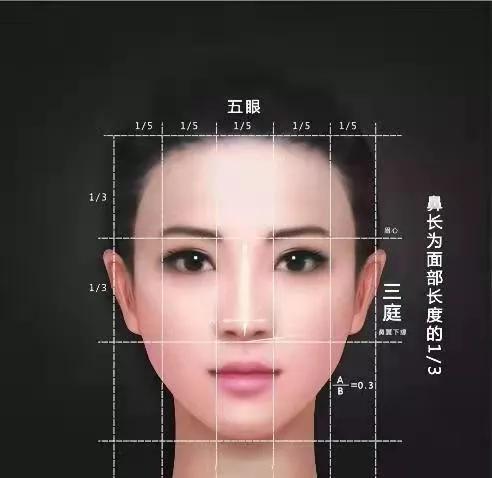 全脸填充真实视频,全脸填充是什么