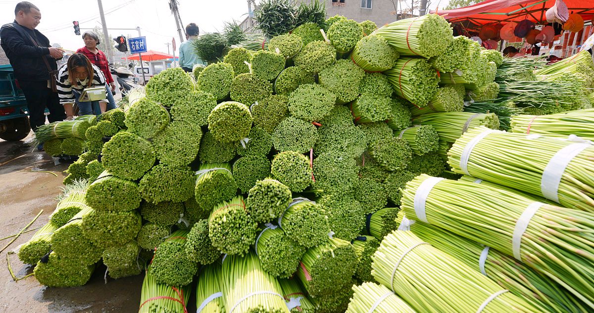 今日蒜薹最新价格表,蒜薹最新价格今天