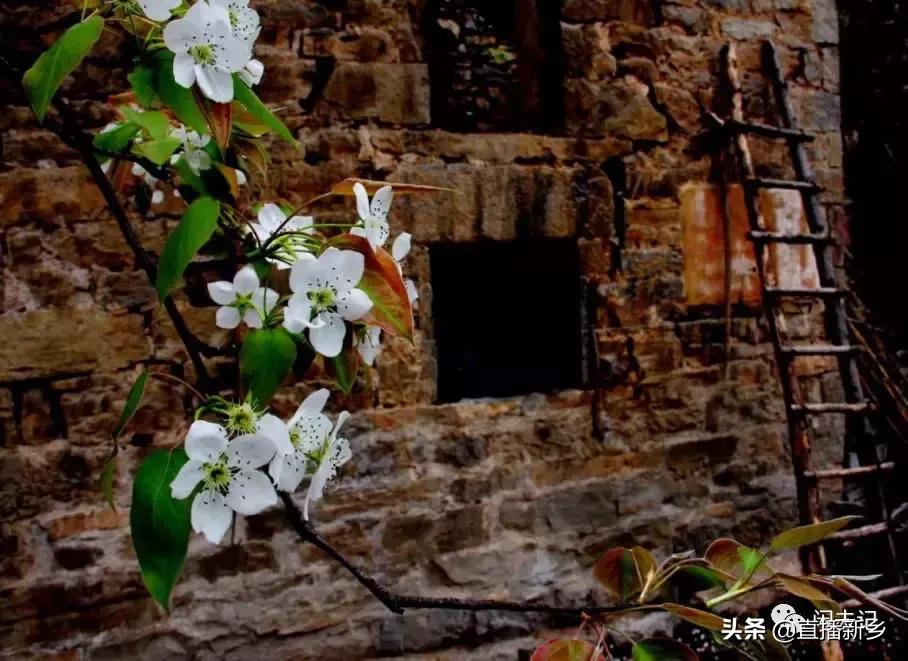 曾经磨碎了苦涩岁月——水磨村