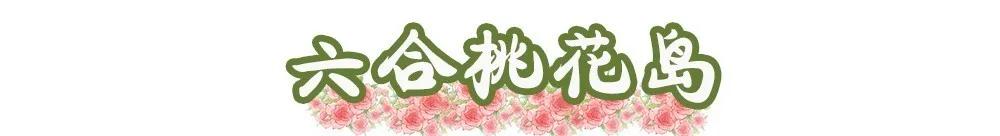 南京溧水千亩玫瑰,南京玫瑰园千亩花海迎来盛花期